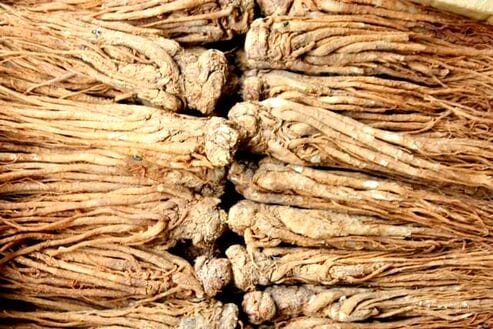 Dang Gui roots (medicinetraditions.com)